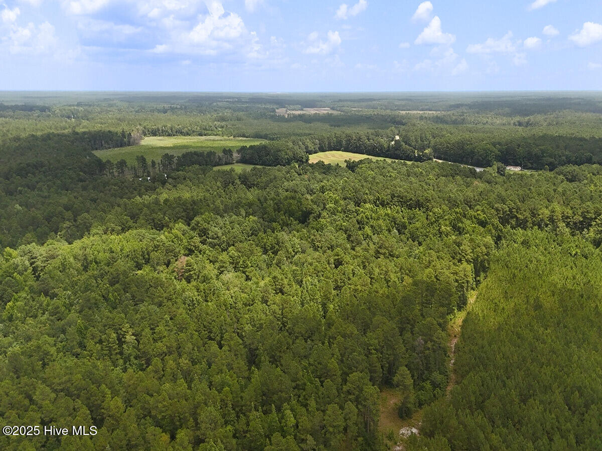 481 Nine Mile Road Maple Hill, NC 28454 - Photo 16 of 43 16. Border West