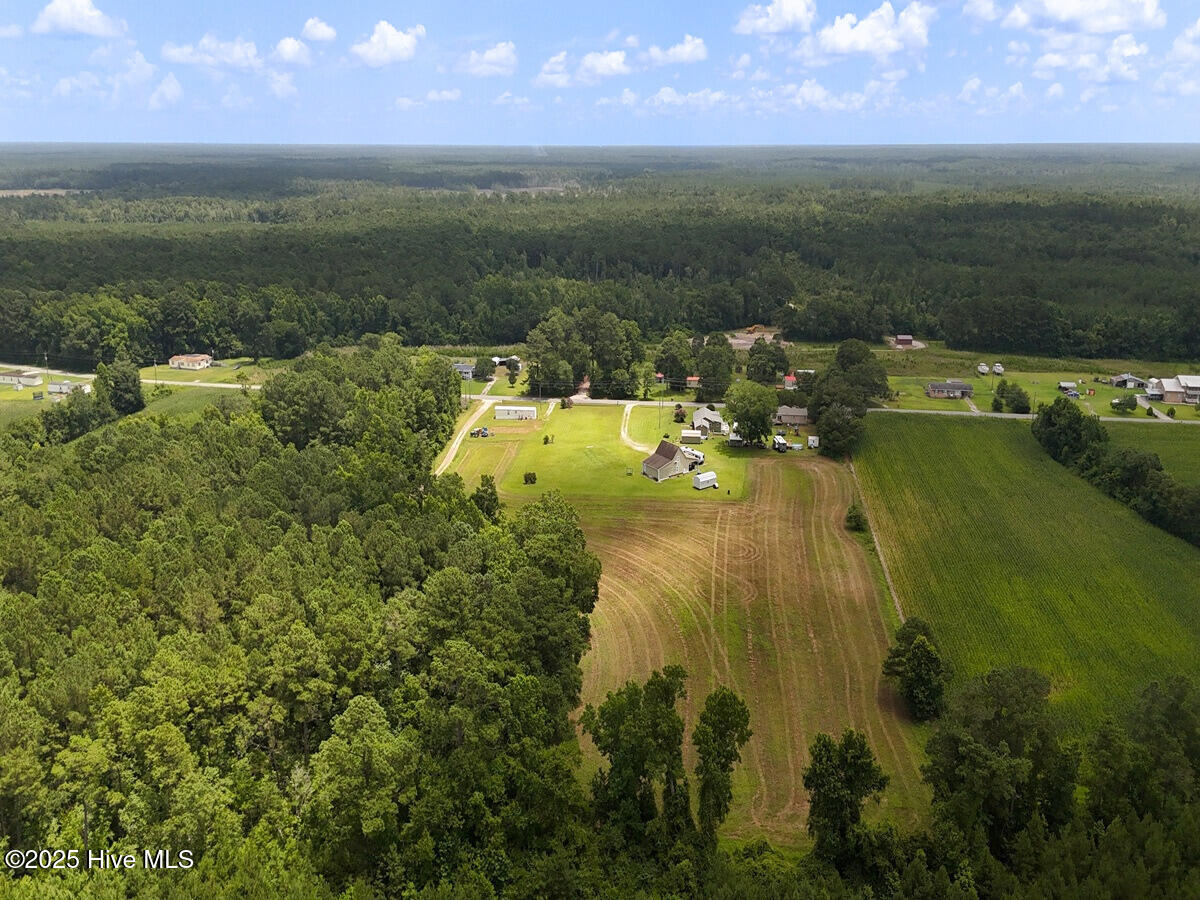 481 Nine Mile Road Maple Hill, NC 28454 - Photo 17 of 43 17. Border West