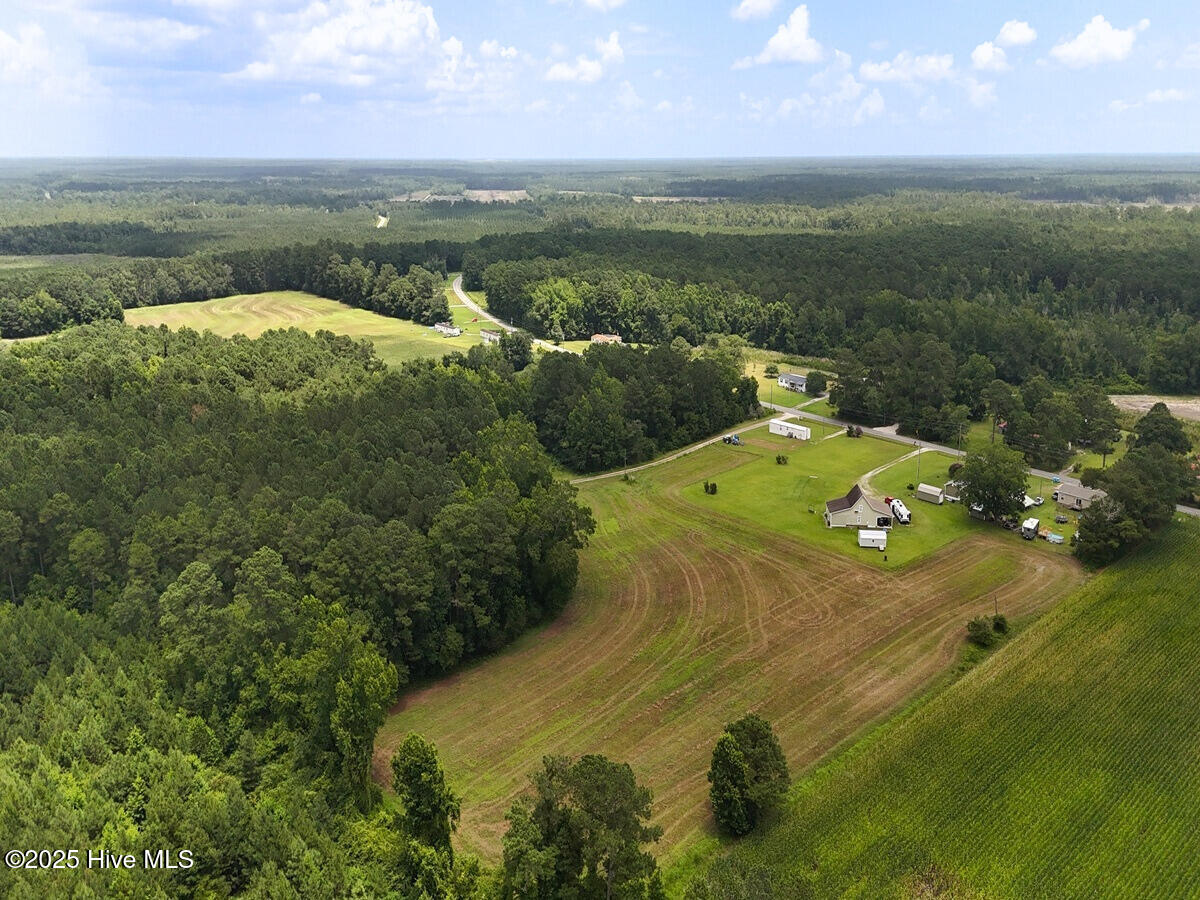 481 Nine Mile Road Maple Hill, NC 28454 - Photo 18 of 43 18. Border West
