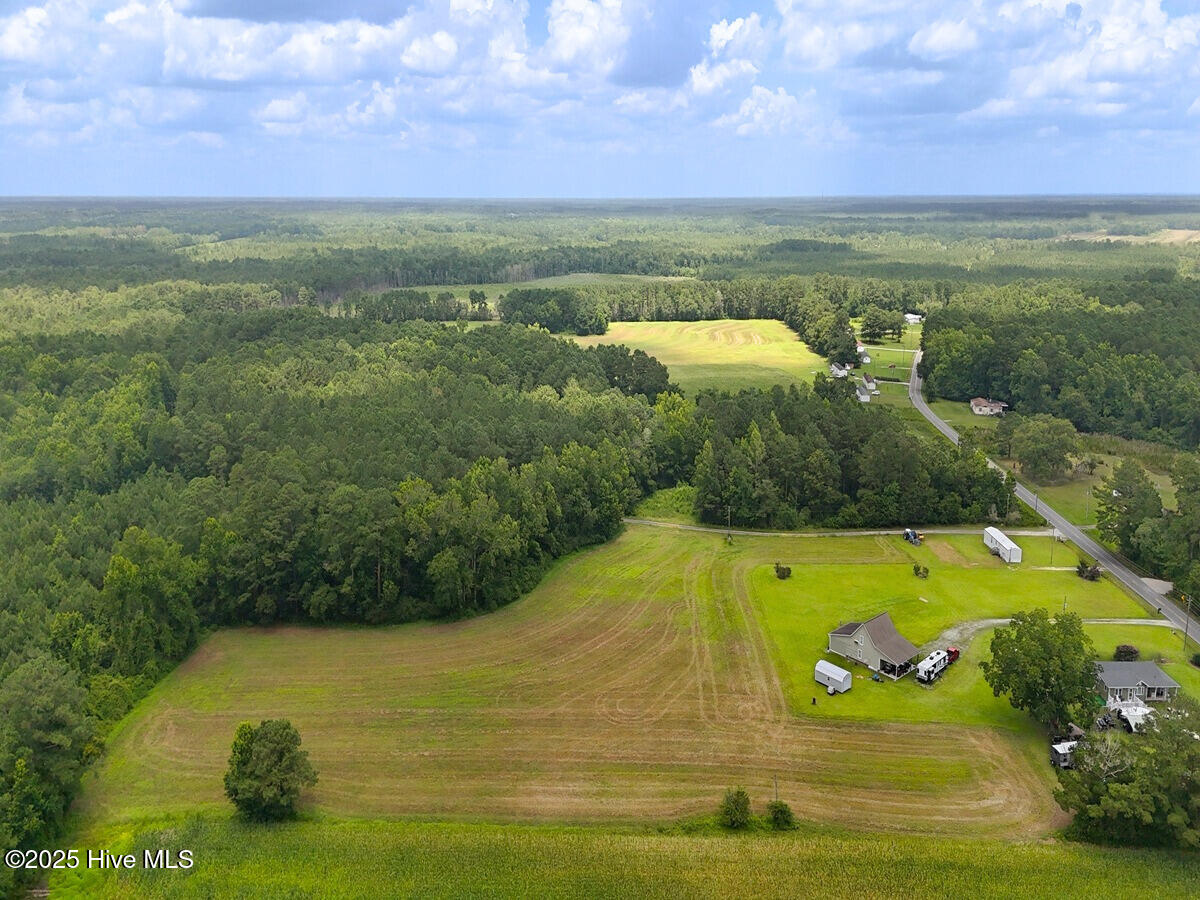 481 Nine Mile Road Maple Hill, NC 28454 - Photo 19 of 43 19. Border South