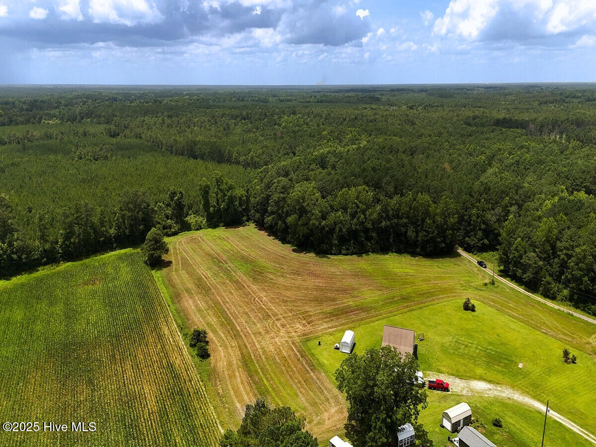 481 Nine Mile Road Maple Hill, NC 28454 - Photo 20 of 43 20. Border South