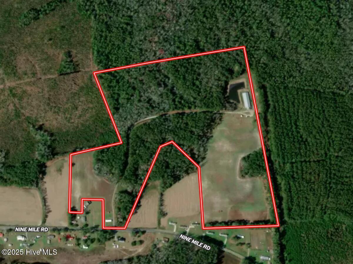 481 Nine Mile Road Maple Hill, NC 28454 - Photo 2 of 43 2. Aerial Image