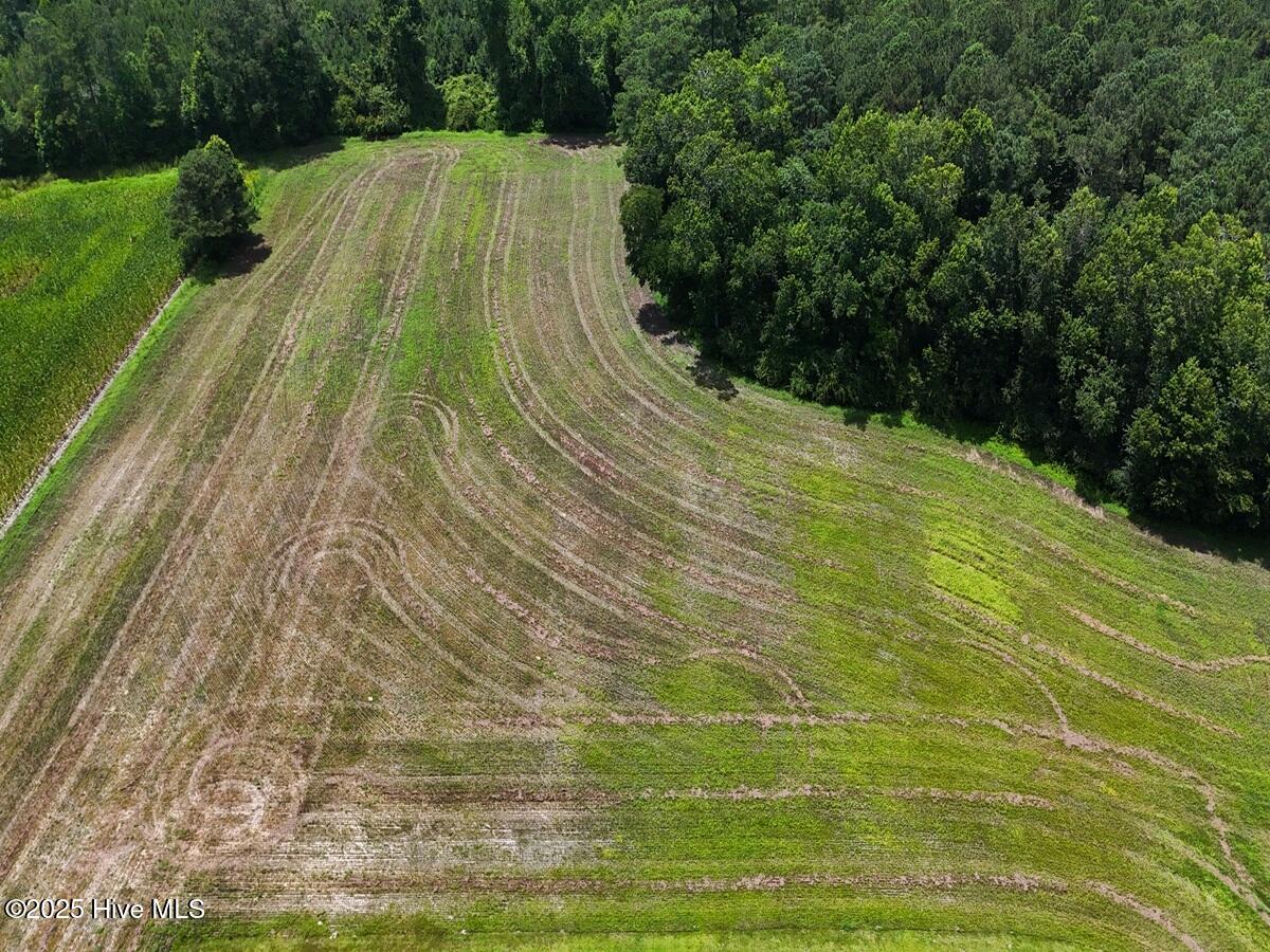 481 Nine Mile Road Maple Hill, NC 28454 - Photo 28 of 43 28. Front Field
