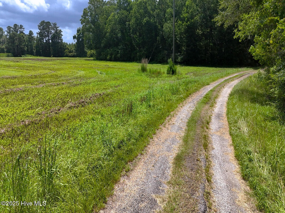 481 Nine Mile Road Maple Hill, NC 28454 - Photo 29 of 43 29. Front Driveway