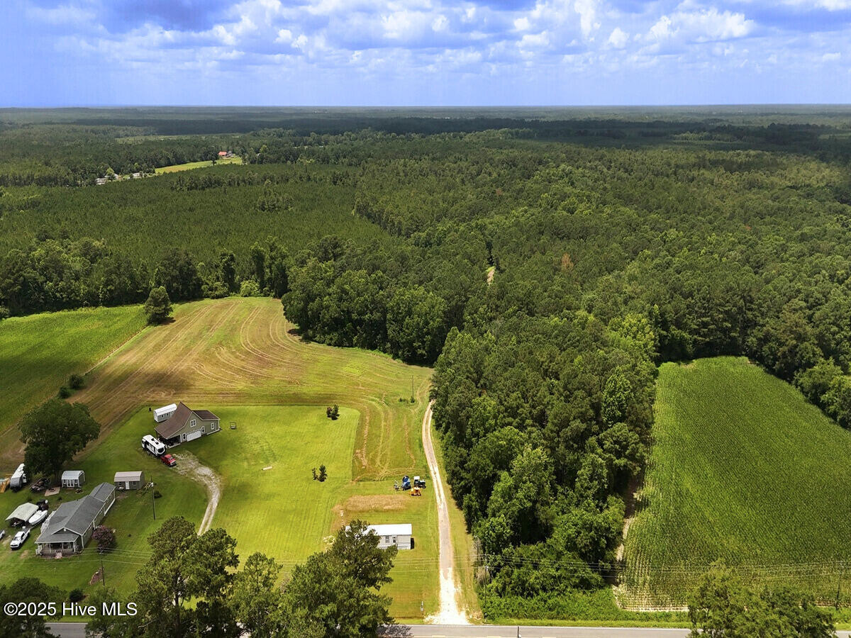 481 Nine Mile Road Maple Hill, NC 28454 - Photo 3 of 43 3. Border Front