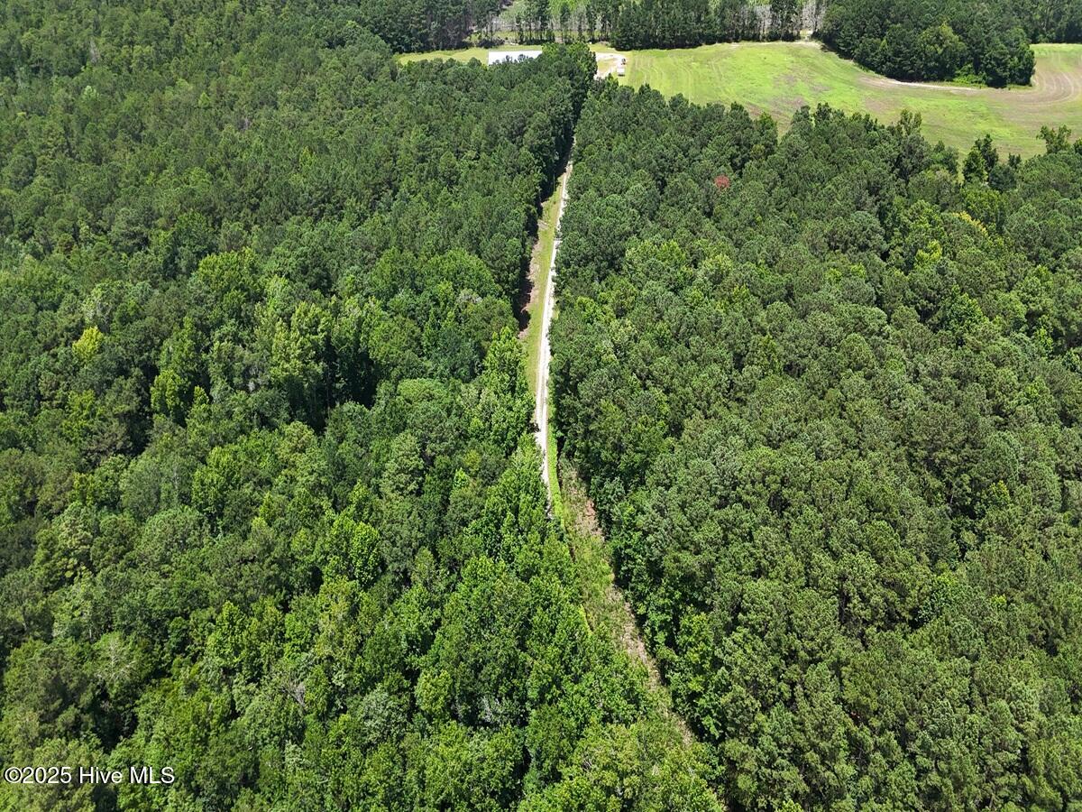 481 Nine Mile Road Maple Hill, NC 28454 - Photo 31 of 43 31. Aerial Driveway 2