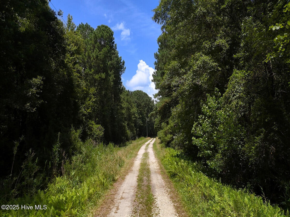 481 Nine Mile Road Maple Hill, NC 28454 - Photo 32 of 43 32. Driveway