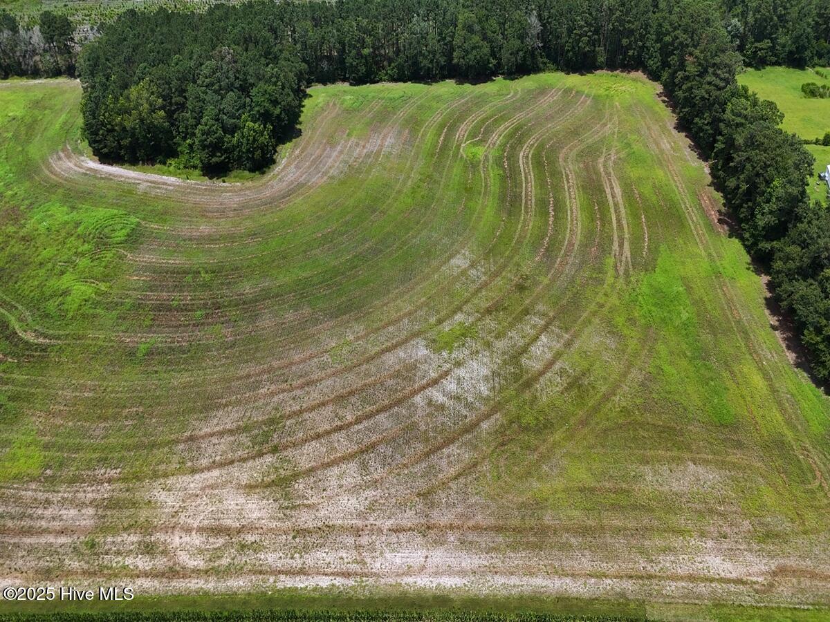 481 Nine Mile Road Maple Hill, NC 28454 - Photo 33 of 43 33. Rear Field