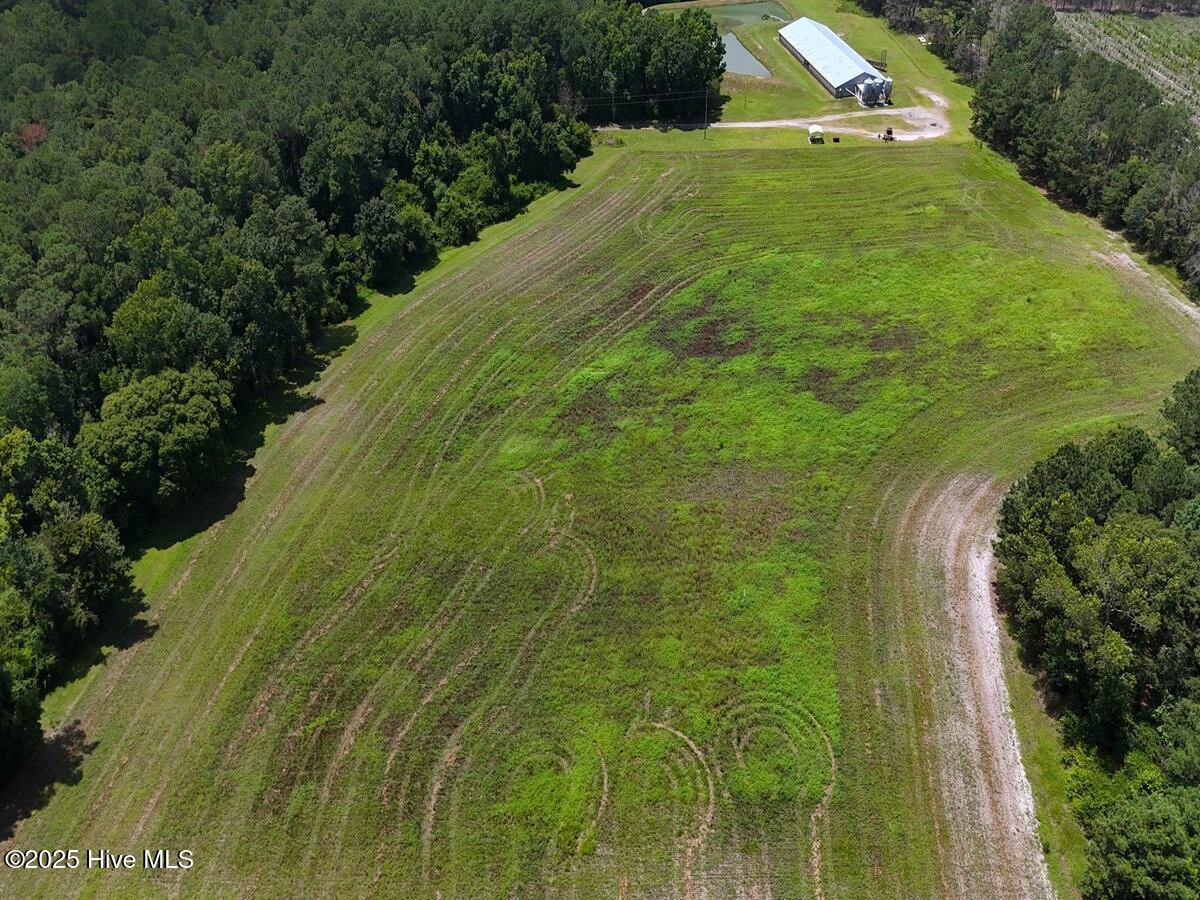 481 Nine Mile Road Maple Hill, NC 28454 - Photo 34 of 43 34. Rear Field