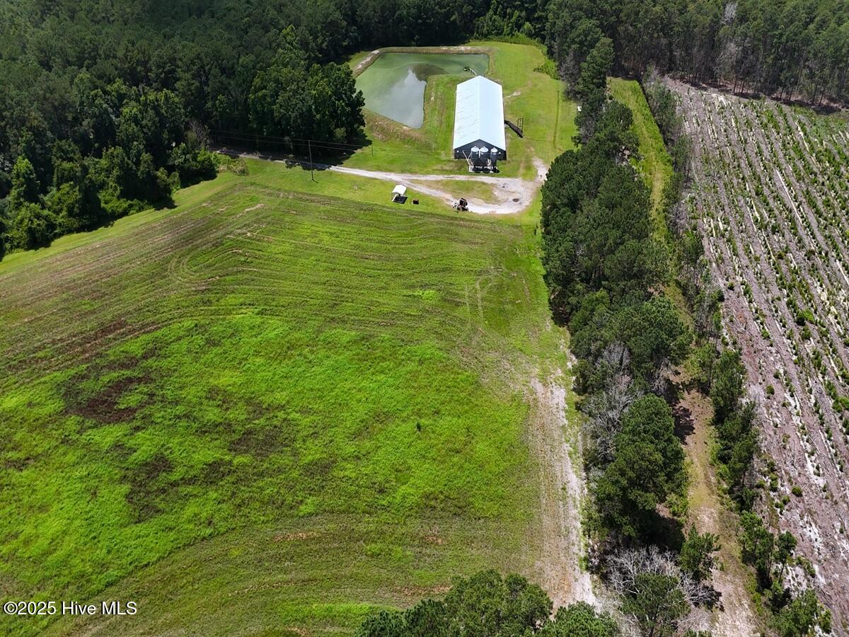 481 Nine Mile Road Maple Hill, NC 28454 - Photo 35 of 43 35. Rear Field