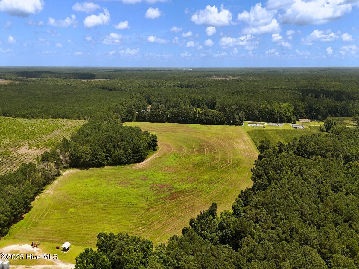 481 Nine Mile Road Maple Hill, NC 28454 - Photo 36 of 43 36. Rear Field