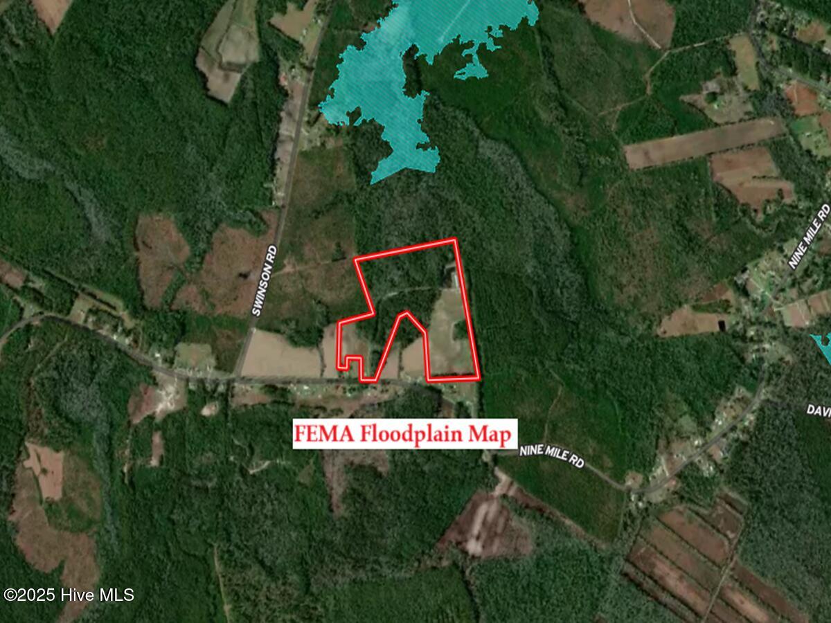 481 Nine Mile Road Maple Hill, NC 28454 - Photo 40 of 43 40. FEMA Floodplain Image