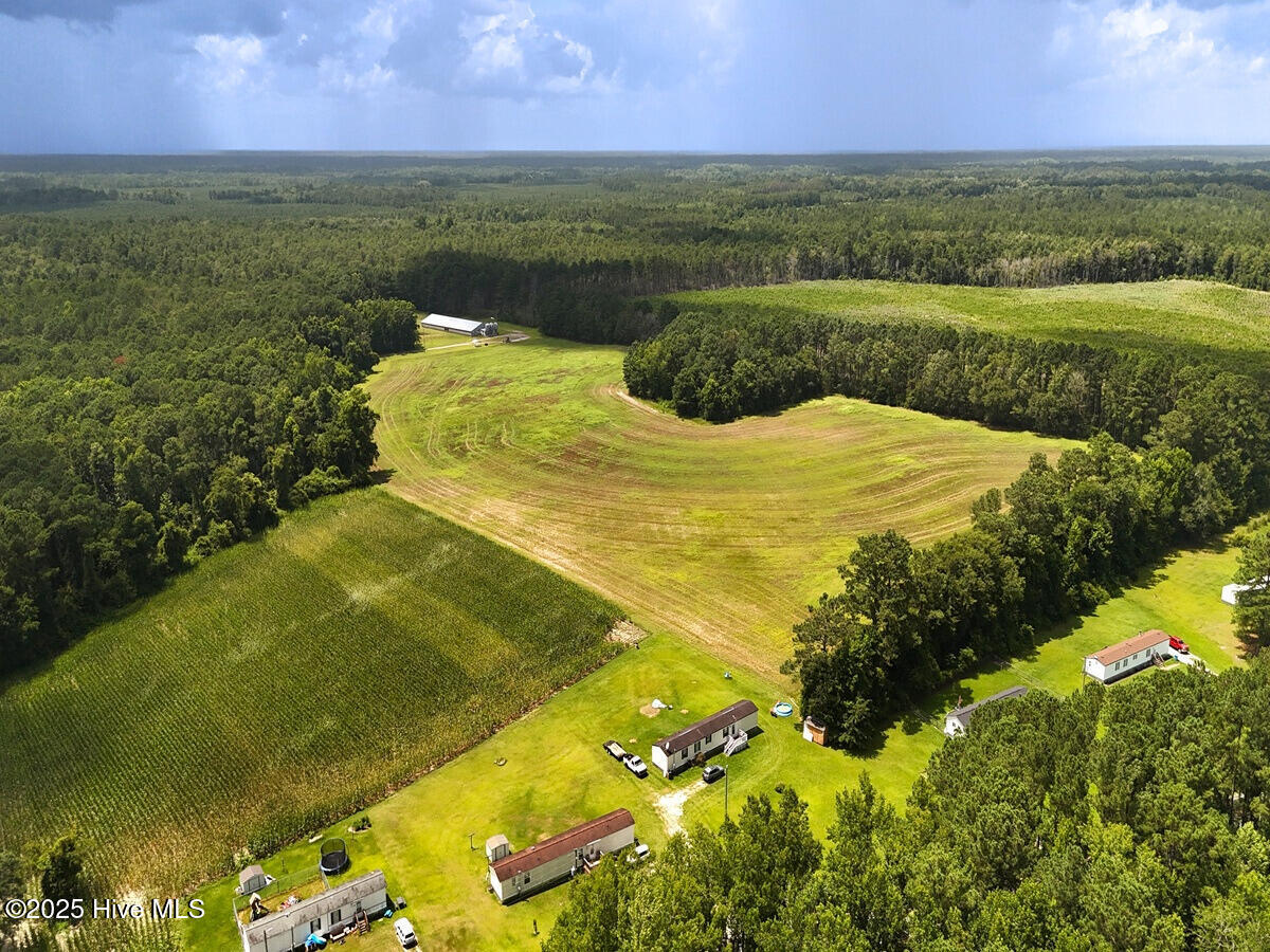 481 Nine Mile Road Maple Hill, NC 28454 - Photo 5 of 43 5. Border Front