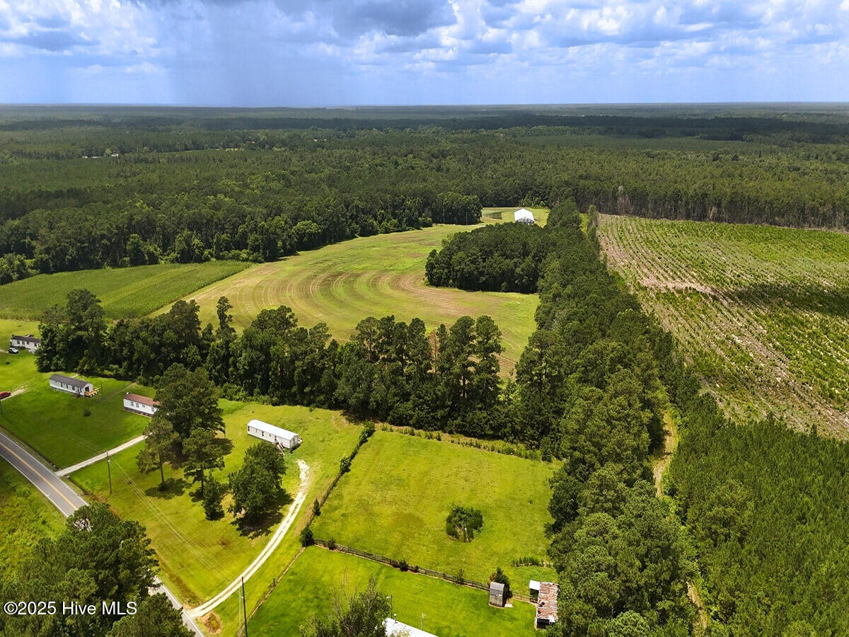 481 Nine Mile Road Maple Hill, NC 28454 - Photo 7 of 43 7. Border Front