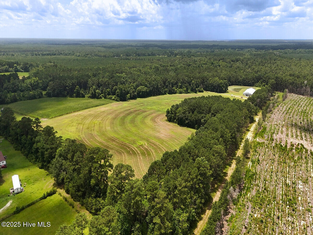 481 Nine Mile Road Maple Hill, NC 28454 - Photo 8 of 43 8. Border Front