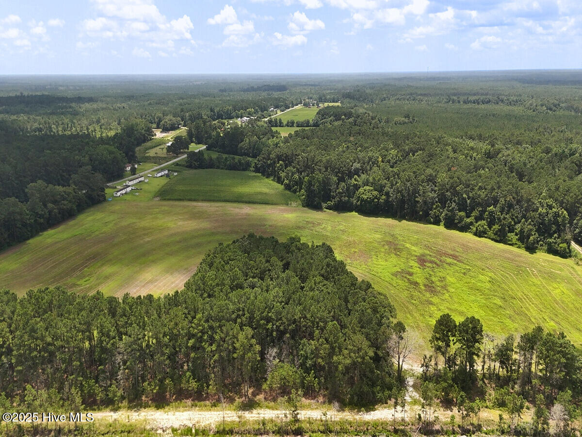 481 Nine Mile Road Maple Hill, NC 28454 - Photo 9 of 43 9. Border North