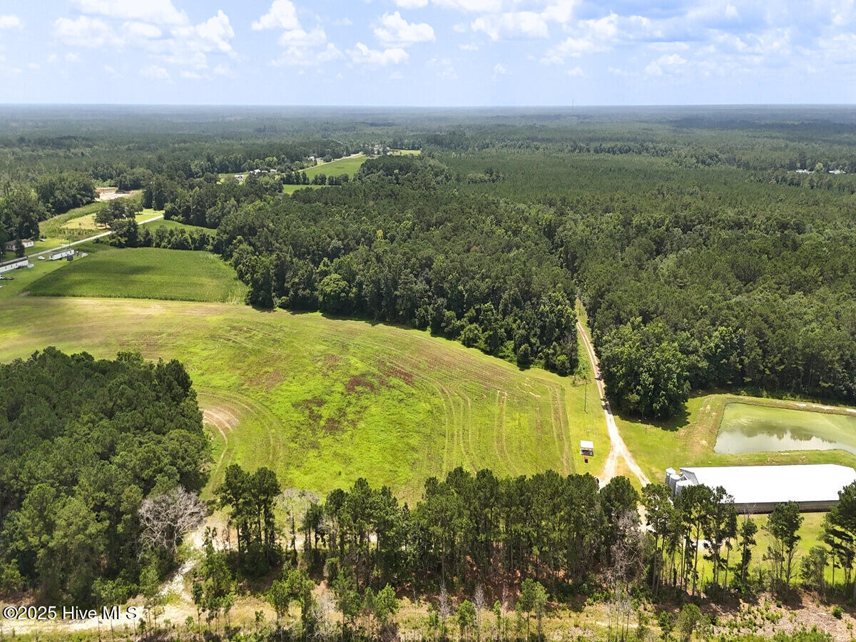 481 Nine Mile Road Maple Hill, NC 28454 - Photo 10 of 43 10. Border North
