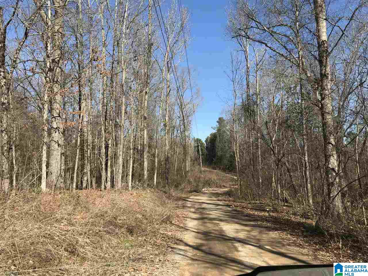 8020 Stemley Bridge Road, Unit PARCEL Talladega, AL 35160 - Photo 4 of 6