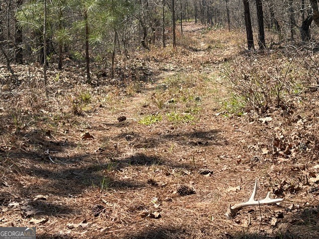 461 Currington Road Mauk, GA 31058 - Photo 20 of 30 Gallery Image 20