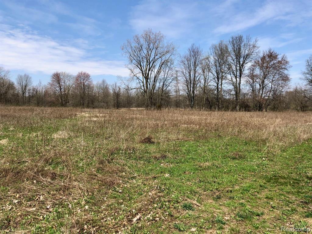 21232 Karr Road Belleville, MI 48111 - Photo 4 of 24