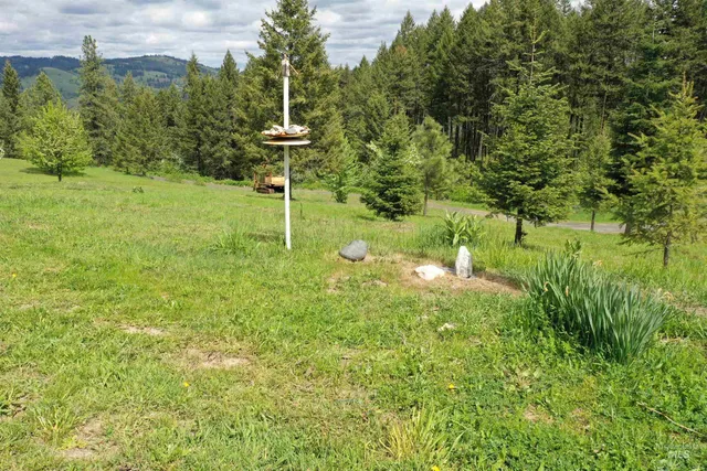 $549,000 | 673 Neighbors Lane, Orofino, ID 83544