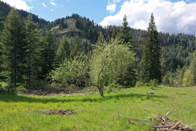 $549,000 | 673 Neighbors Lane, Orofino, ID 83544