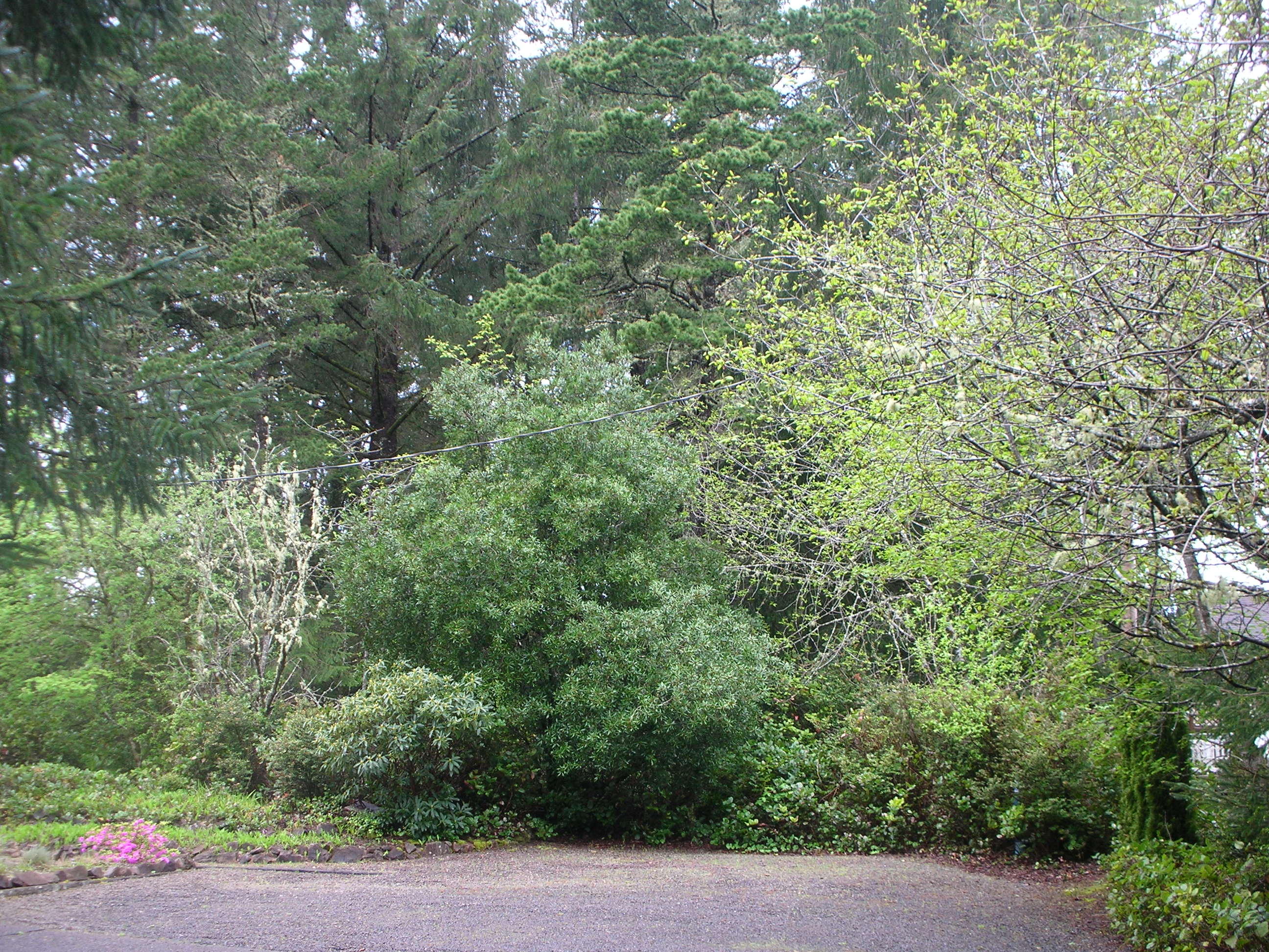 Division Court Manzanita, OR 97130 - Photo 4 of 8 Division Court, Manz Golf Course Lot
