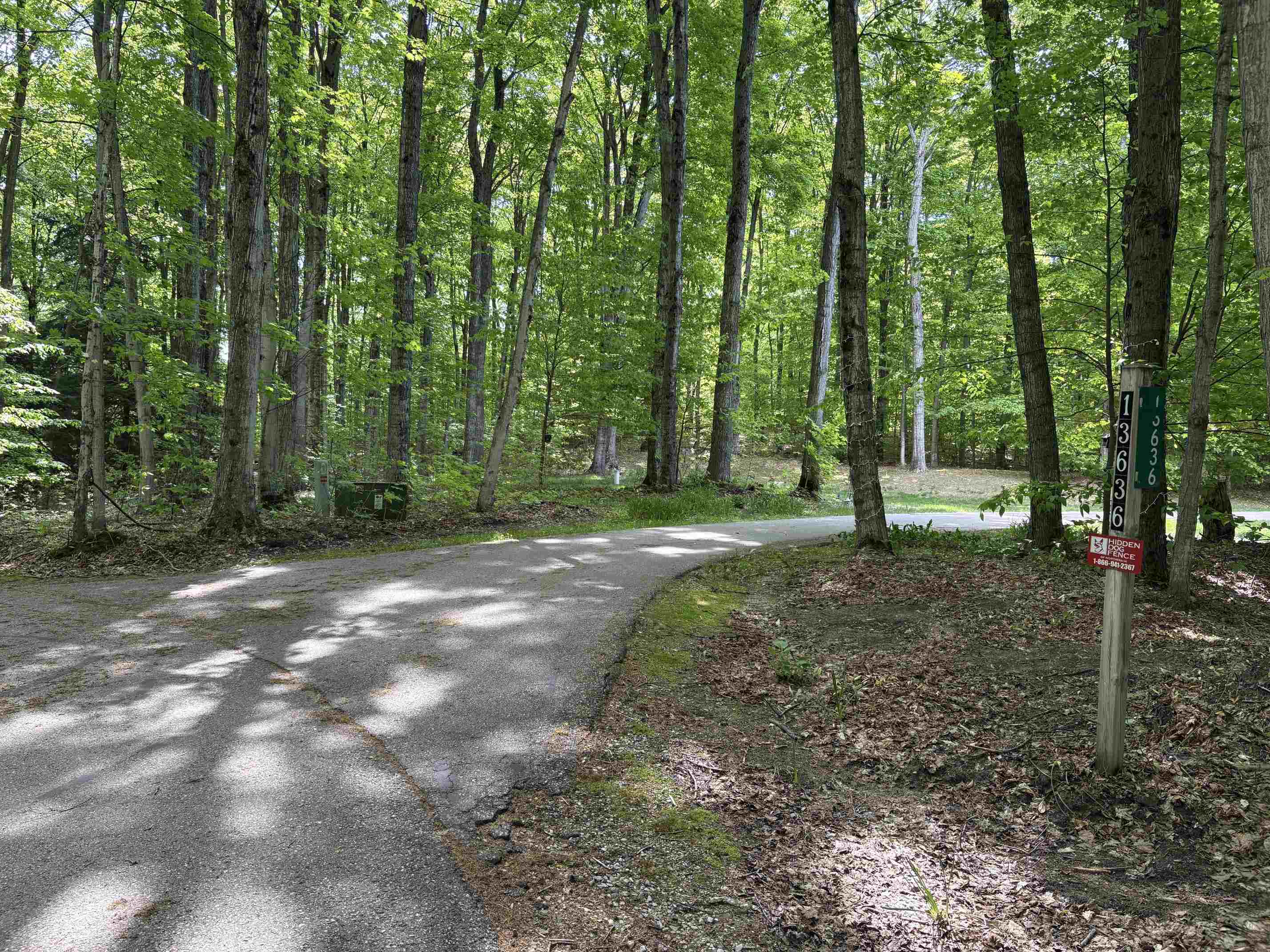 13631 Beaver Pond Road Empire, MI 49630 - Photo 5 of 55