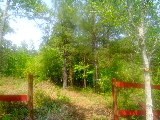Lot 61-62 Sweetwater View Road Seneca, SC 29672 - Photo 1 of 9 Gallery Image 1