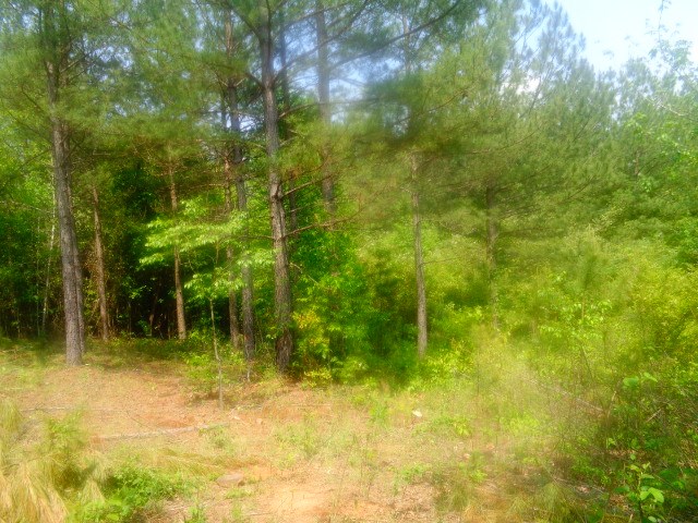 Lot 61-62 Sweetwater View Road Seneca, SC 29672 - Photo 2 of 9 Gallery Image 2
