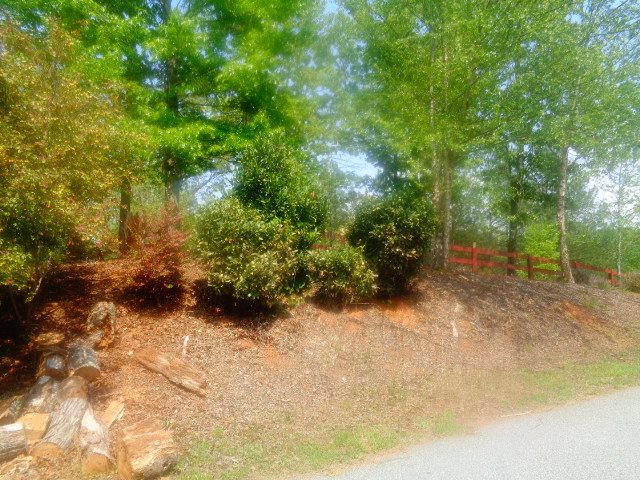 Lot 61-62 Sweetwater View Road Seneca, SC 29672 - Photo 5 of 9 Gallery Image 5
