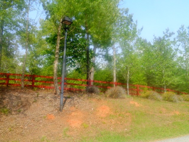 Lot 61-62 Sweetwater View Road Seneca, SC 29672 - Photo 6 of 9 Gallery Image 6