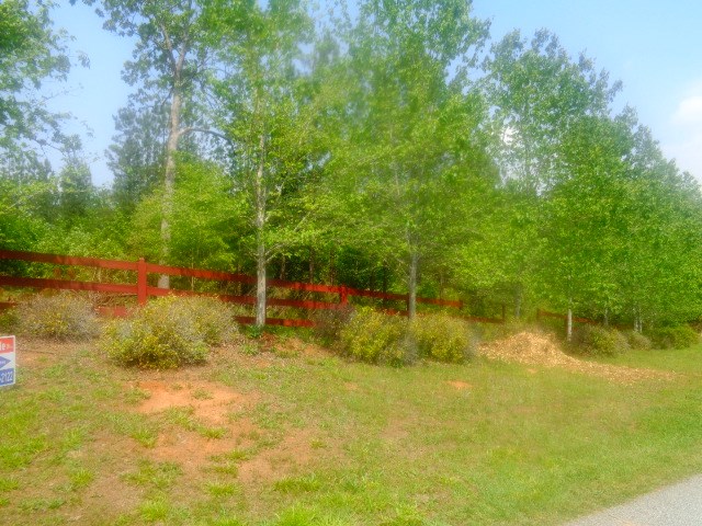 Lot 61-62 Sweetwater View Road Seneca, SC 29672 - Photo 7 of 9 Gallery Image 7