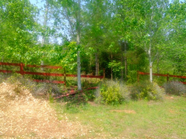 Lot 61-62 Sweetwater View Road Seneca, SC 29672 - Photo 8 of 9 Gallery Image 8