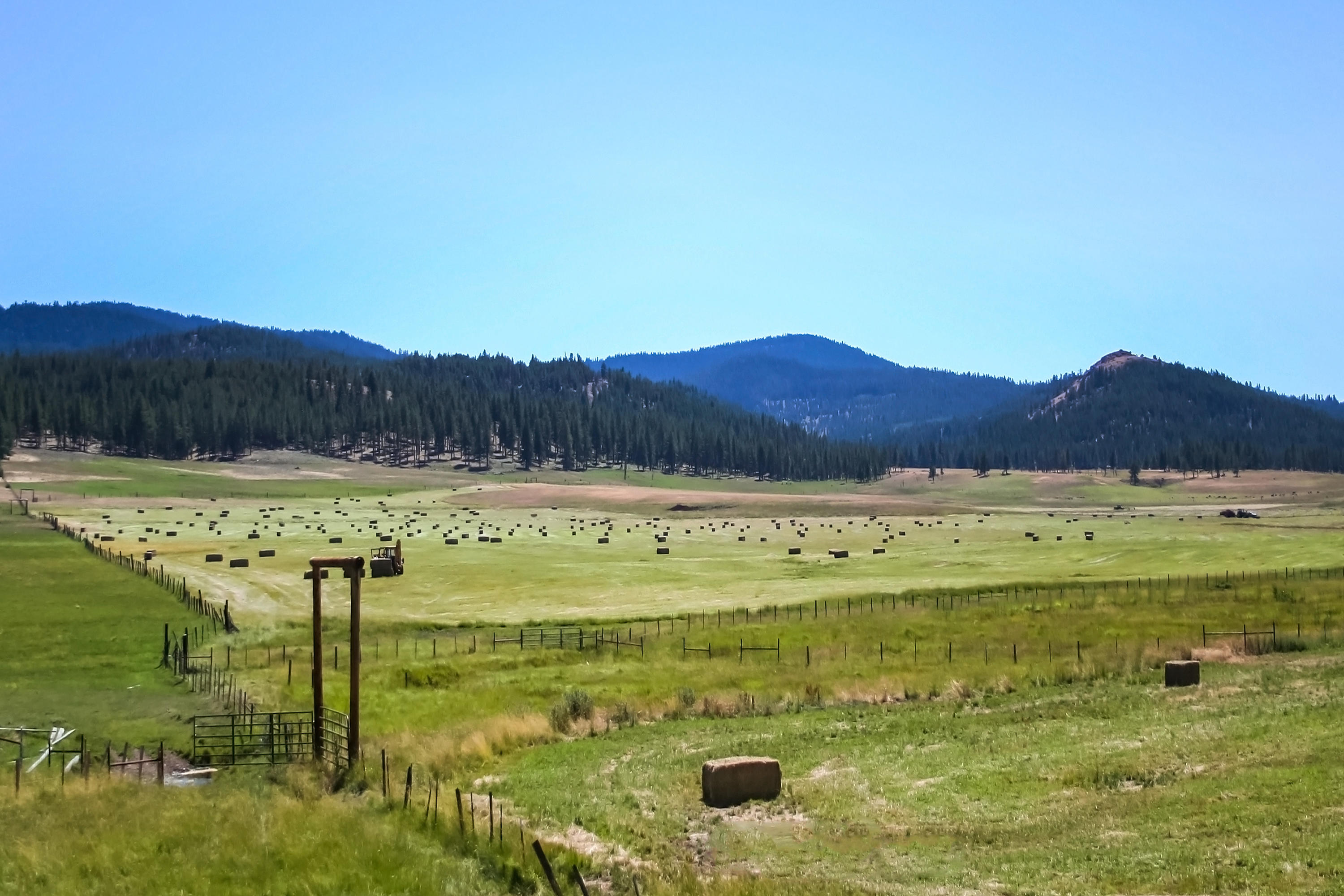 21762 Badger Creek Road Mitchell, OR 97750 - Photo 44 of 54 44 img_0017