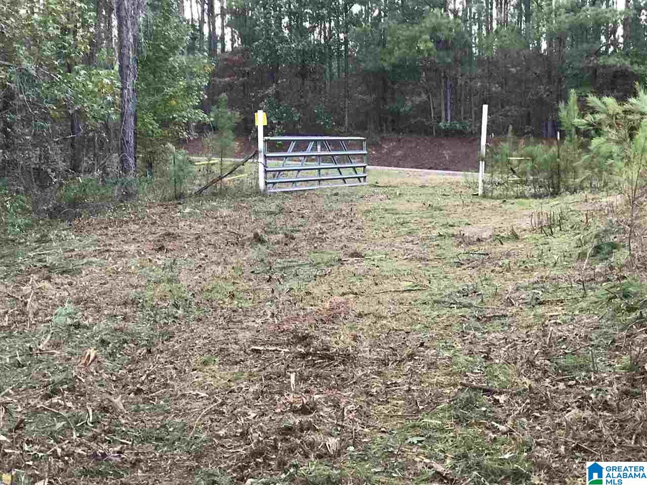 0 County Road 546 Verbena, AL 36091 - Photo 3 of 13
