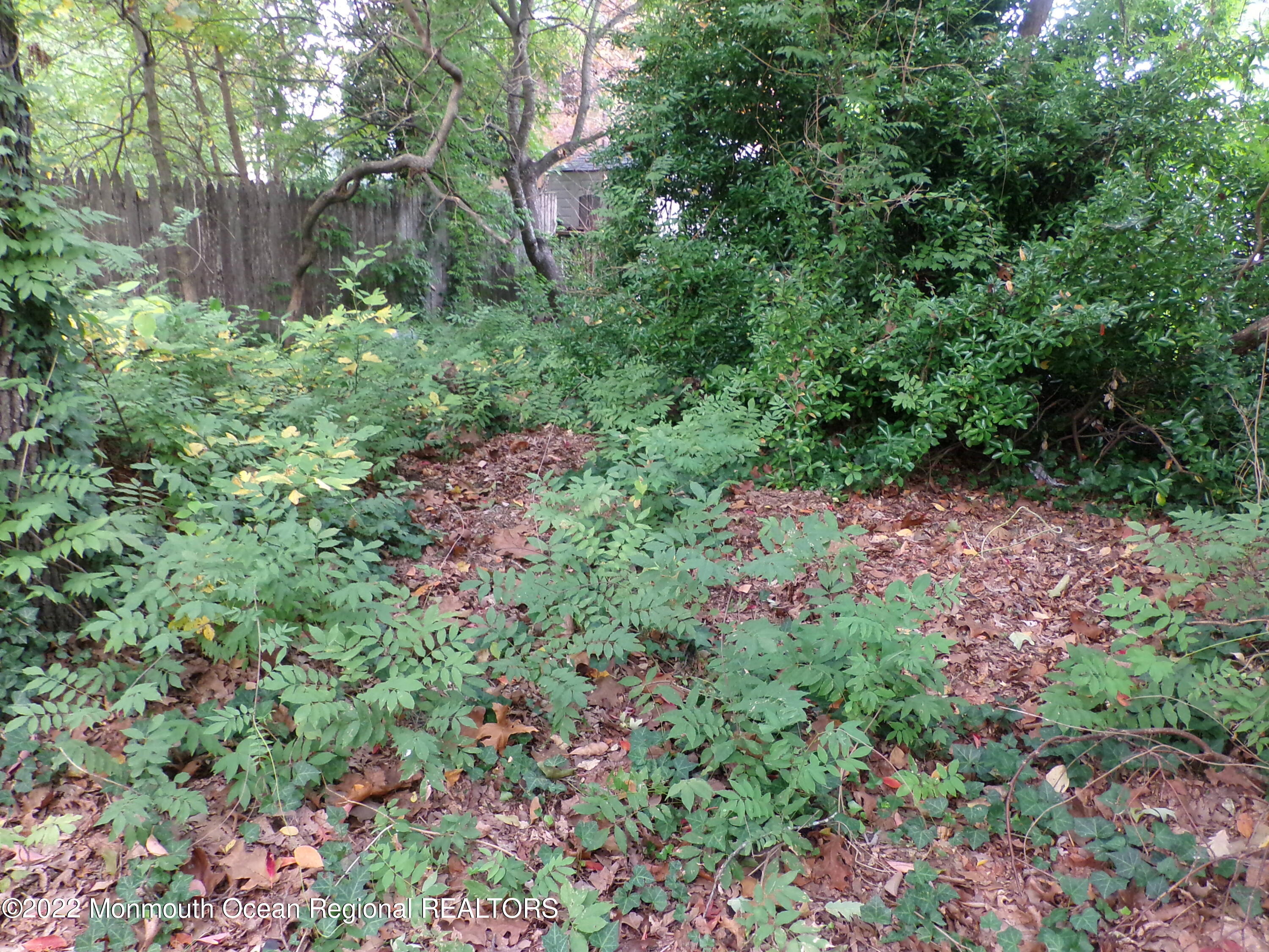 27 Davos Road Brick, NJ 08724 - Photo 51 of 65 GEDC1010