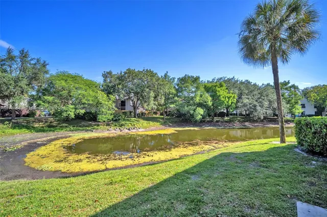 a view of a swimming pool with a yard