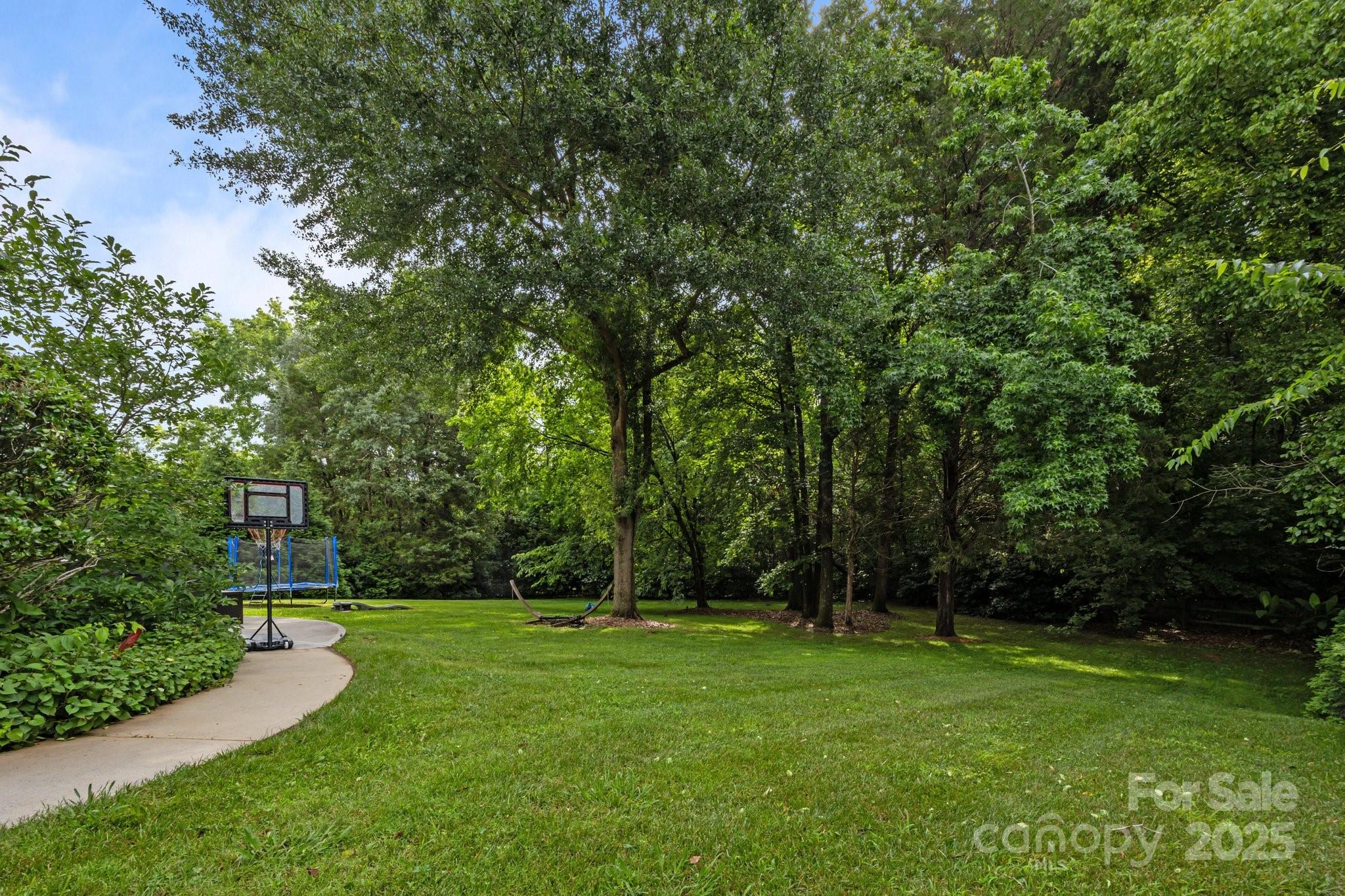 10919 Valley Spring Drive Charlotte, NC 28277 - Photo 41 of 47 a view of yard with green space