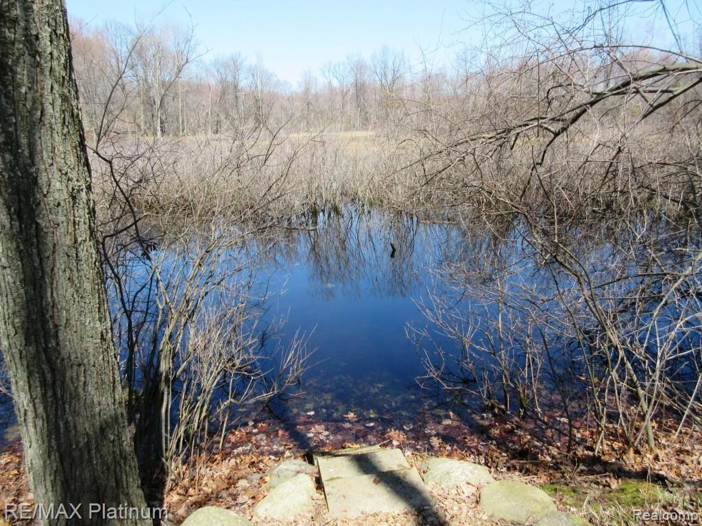 11357 Newman Road Brighton, MI 48114 - Photo 28 of 30 013.jpg