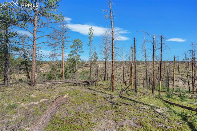 6310 Shoup Road Colorado Springs, CO 80908 - Photo 16 of 21
