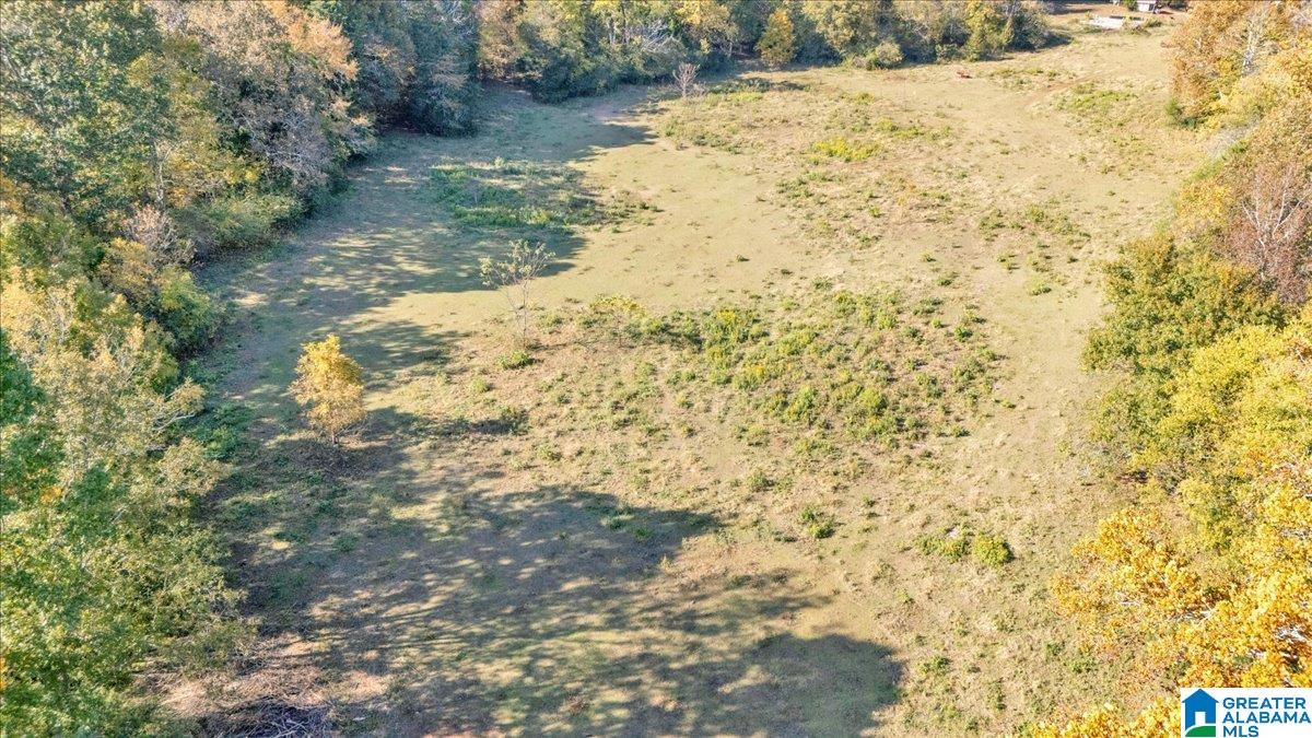 1215 Red Valley Road Remlap, AL 35133 - Photo 43 of 43