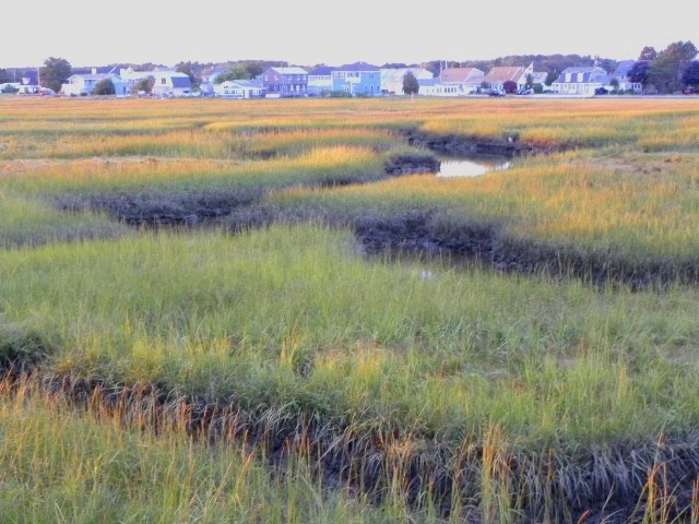 98 A Island Path, Unit 98A Hampton, NH 03842 - Photo 18 of 35