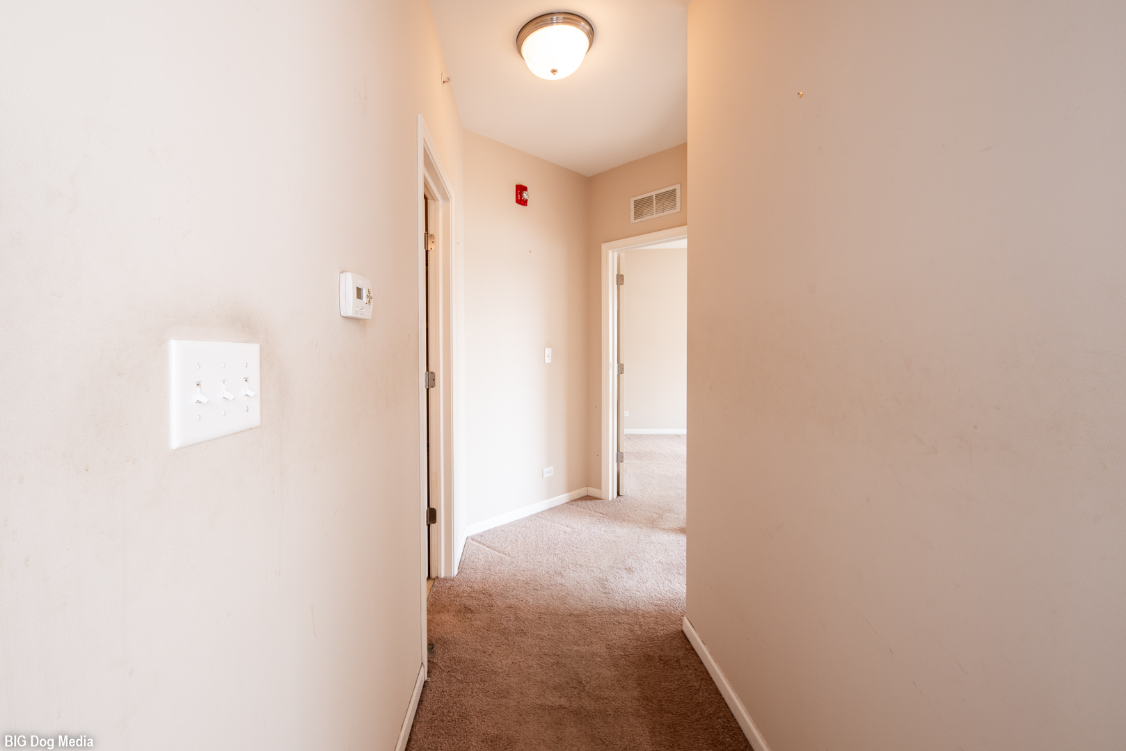10225 Mulberry Lane, Unit J Bridgeview, IL 60455 - Photo 14 of 24 a view of a hallway