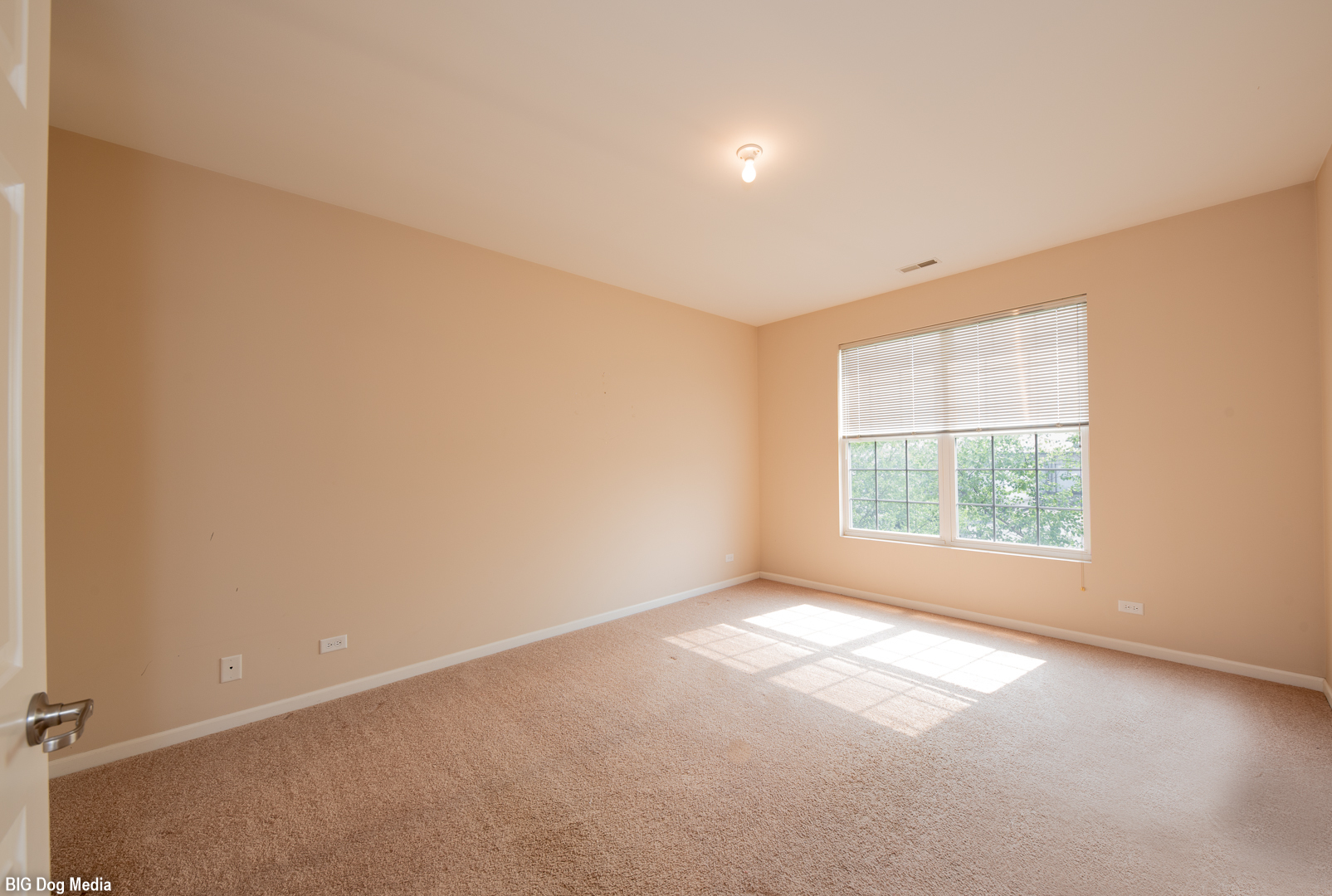 10225 Mulberry Lane, Unit J Bridgeview, IL 60455 - Photo 17 of 24 an empty room with windows