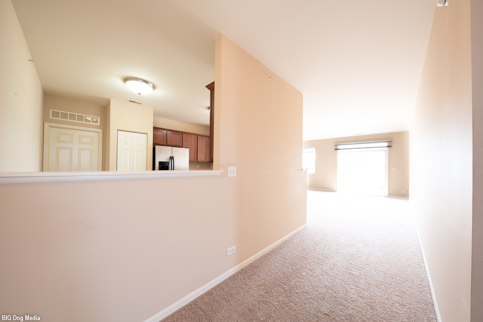 10225 Mulberry Lane, Unit J Bridgeview, IL 60455 - Photo 5 of 24