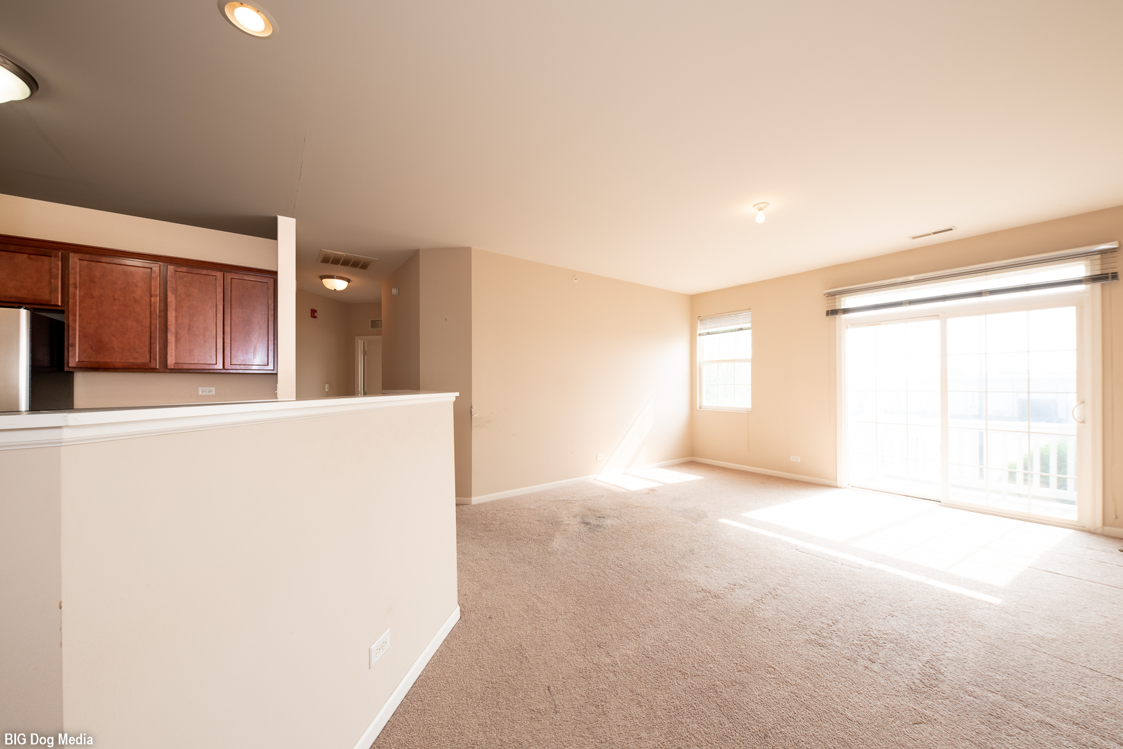 10225 Mulberry Lane, Unit J Bridgeview, IL 60455 - Photo 6 of 24 a view of an empty room with a window