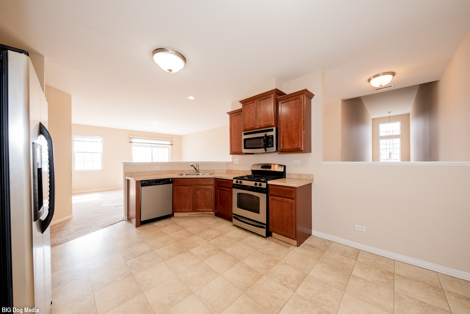 10225 Mulberry Lane, Unit J Bridgeview, IL 60455 - Photo 9 of 24 a large kitchen with stainless steel appliances and a refrigerator