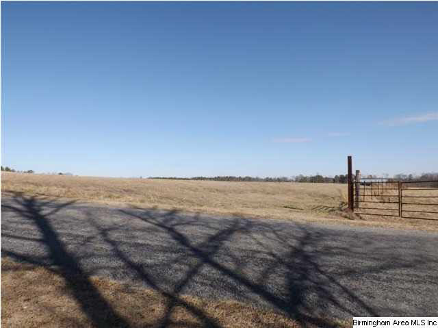 New Prospect Church Road, Unit 16 Horton, AL 35980 - Photo 17 of 20