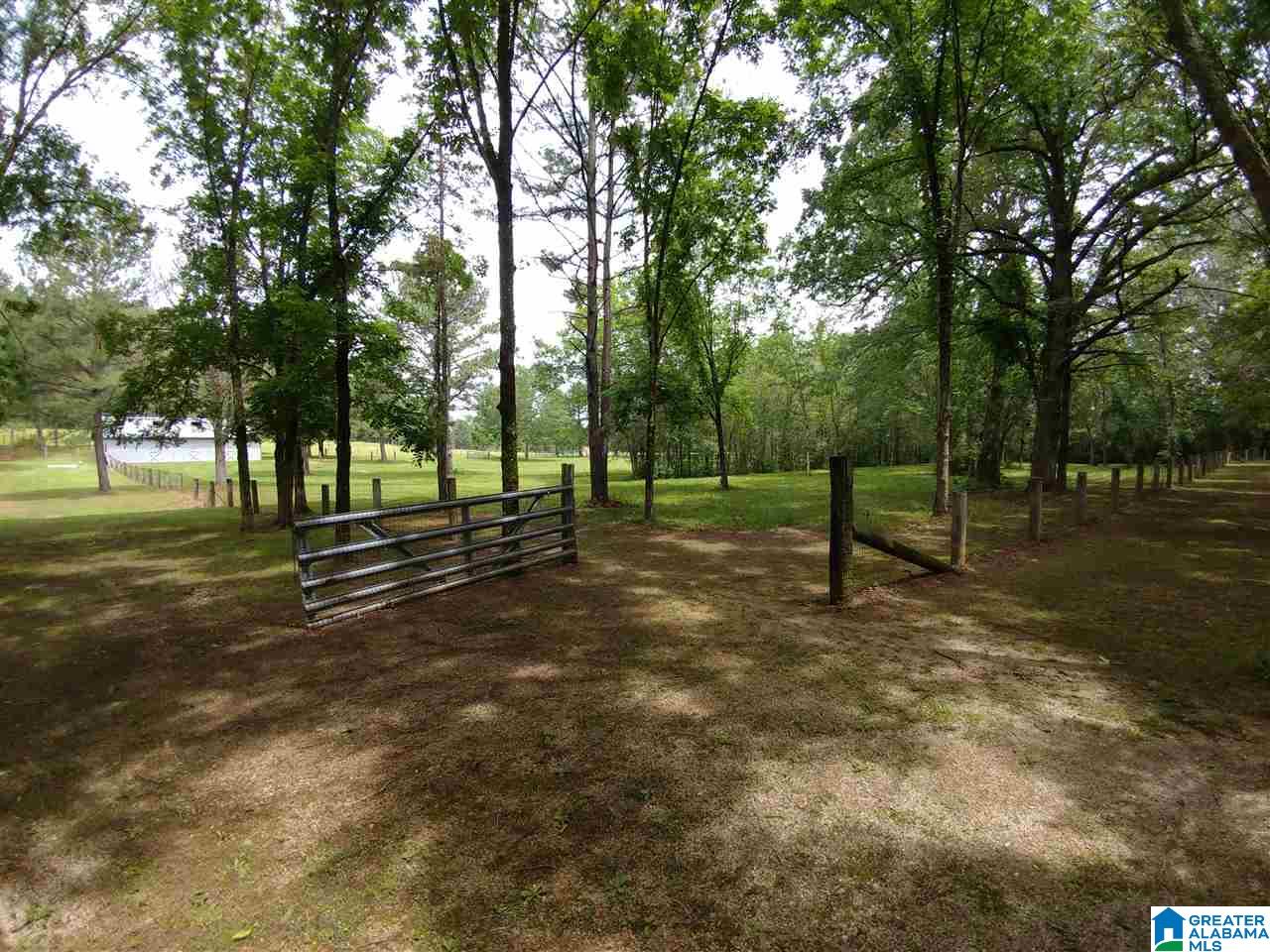 1350 Old Field Road Jacksonville, AL 36265 - Photo 5 of 45